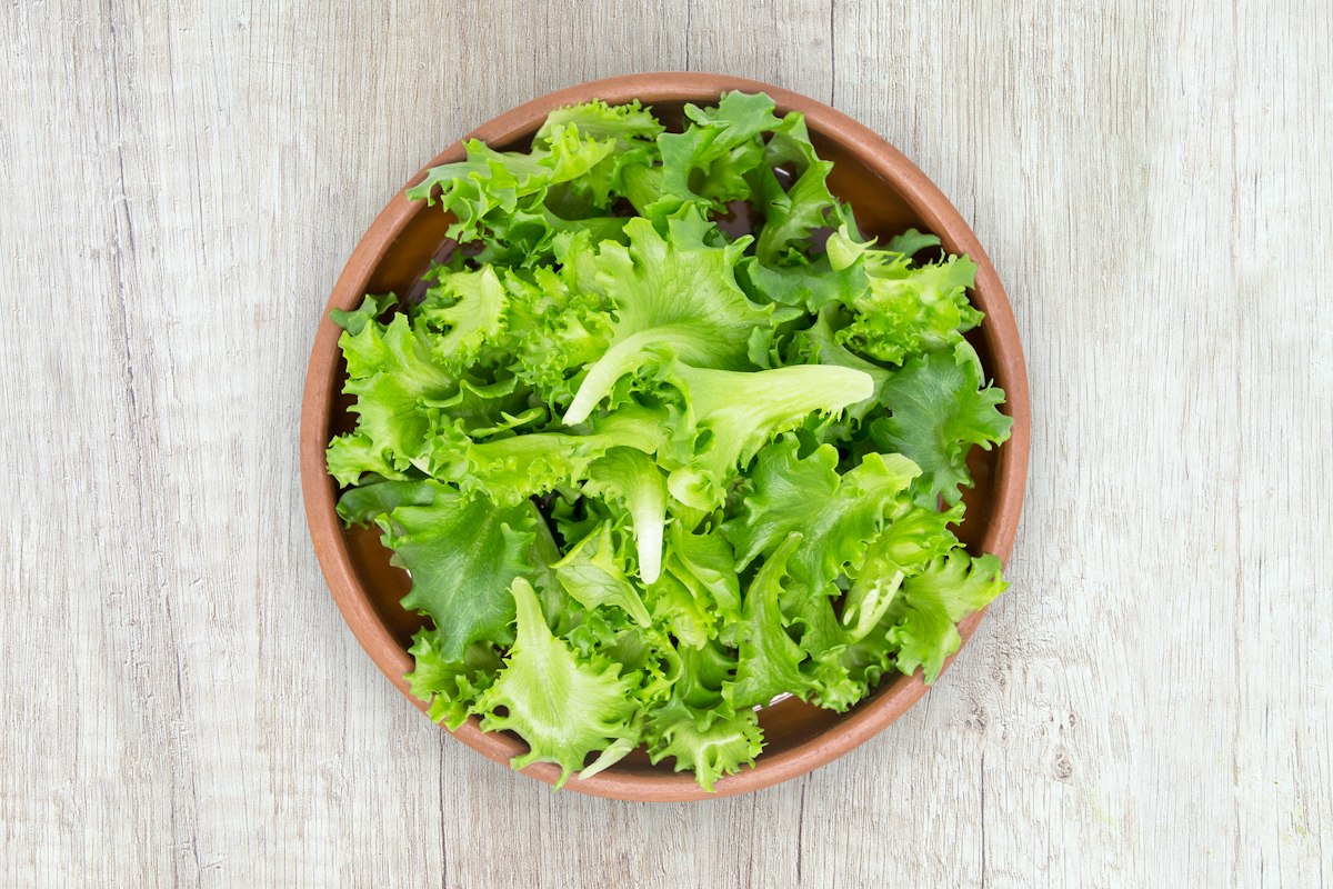 奶油生菜（水培沙拉菜 5kg/筐）